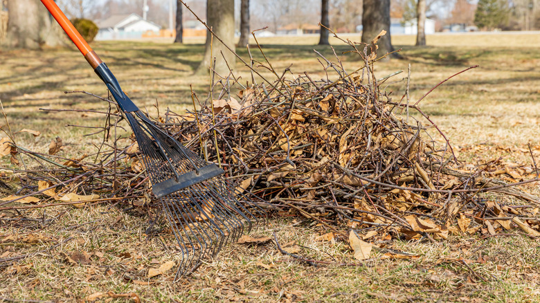 Raked pile of twigs