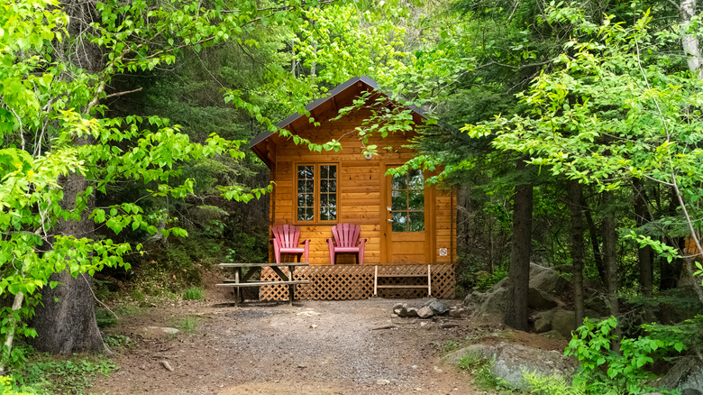 Small cabin surrounded by trees