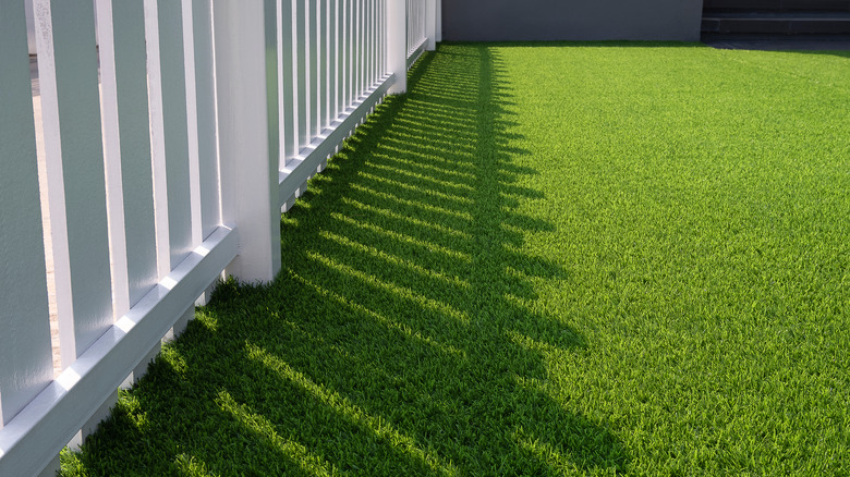 Artificial grass and white fence