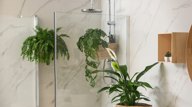 bathroom shower with plants