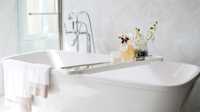 Clawfoot tub in natural lighting