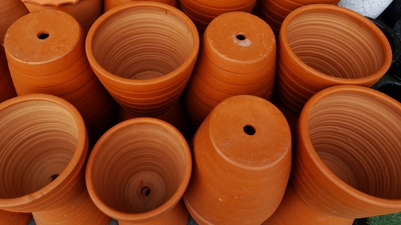 Clay pots with drainage holes