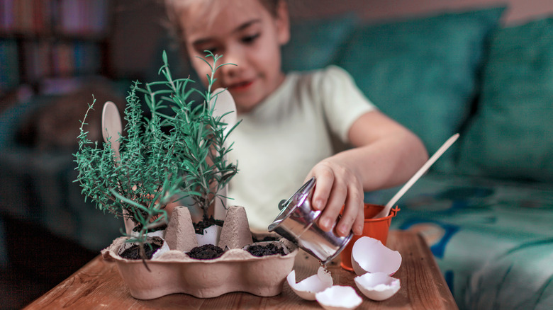 Little girl watering herb garden