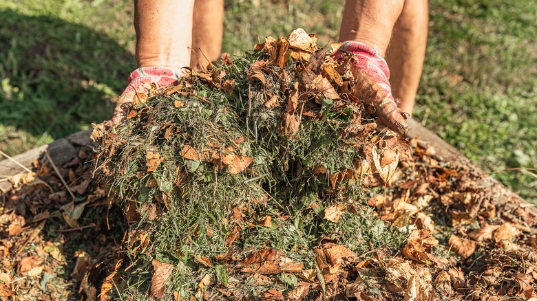 Pile of leaves, grass clippings