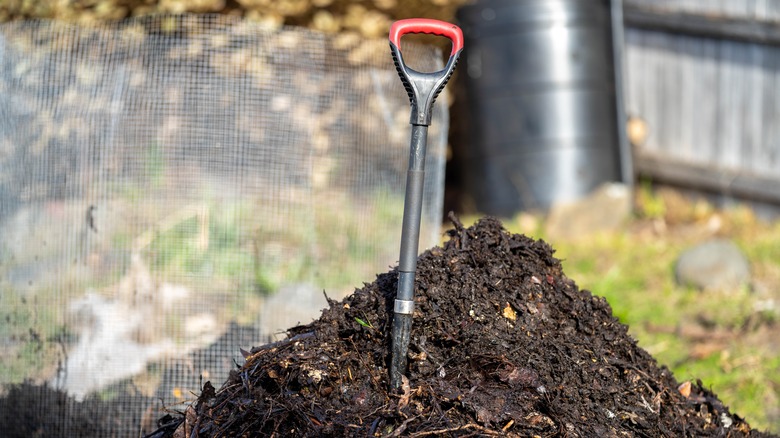 Shovel in pile of compost