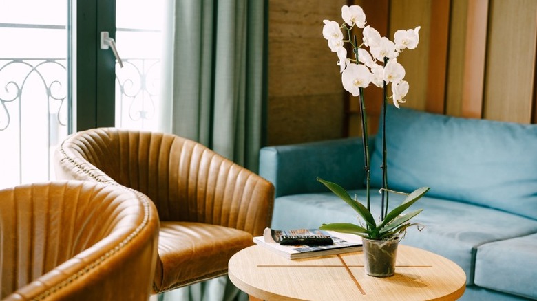 Leather armchairs with blue couch