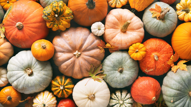 Array of pumpkins