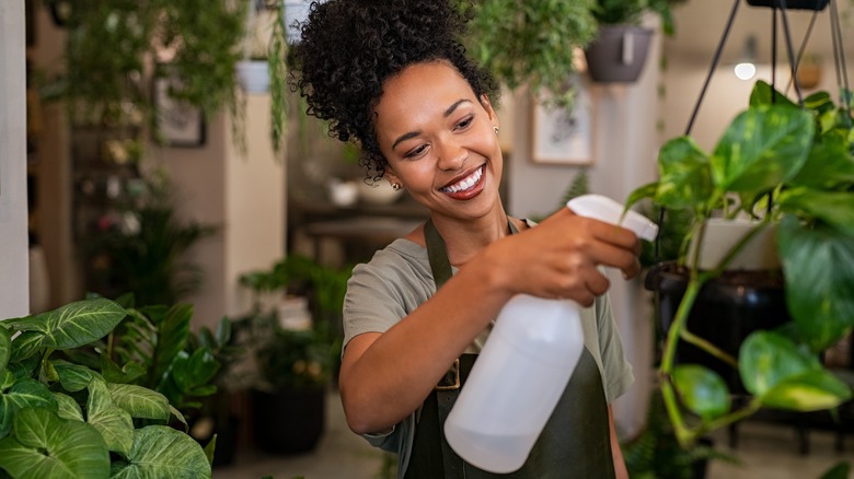 woman misting houseplants