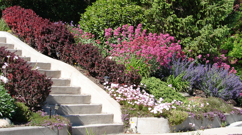 sloped flower garden