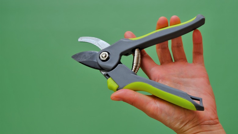 Hand holding up garden shears 