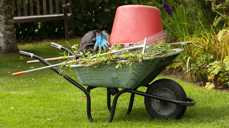 wheelbarrow with garden debris