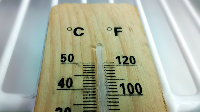 Analog fridge thermometer