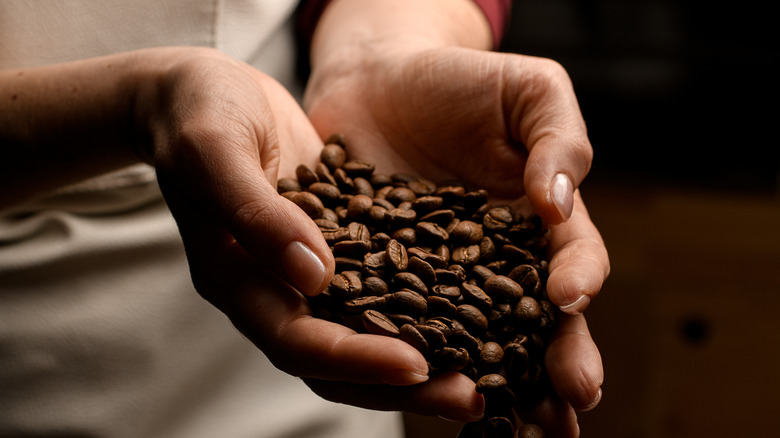 Person holding coffee beans