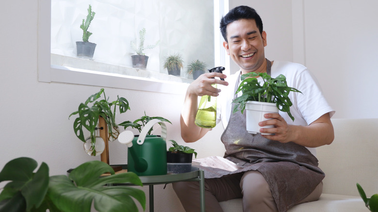 man caring for houseplants