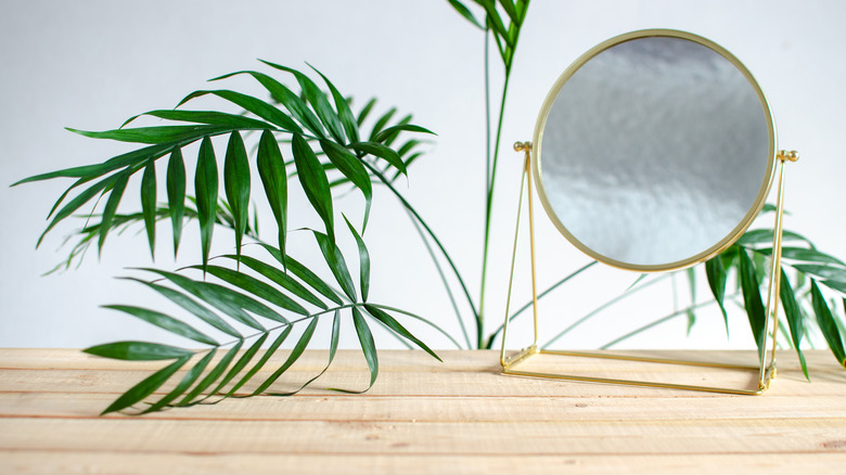 mirror next to plant