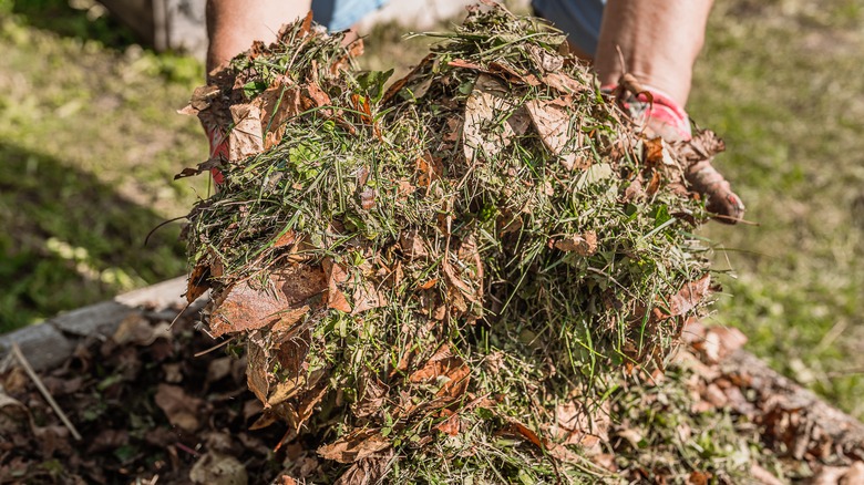 Composting plant material