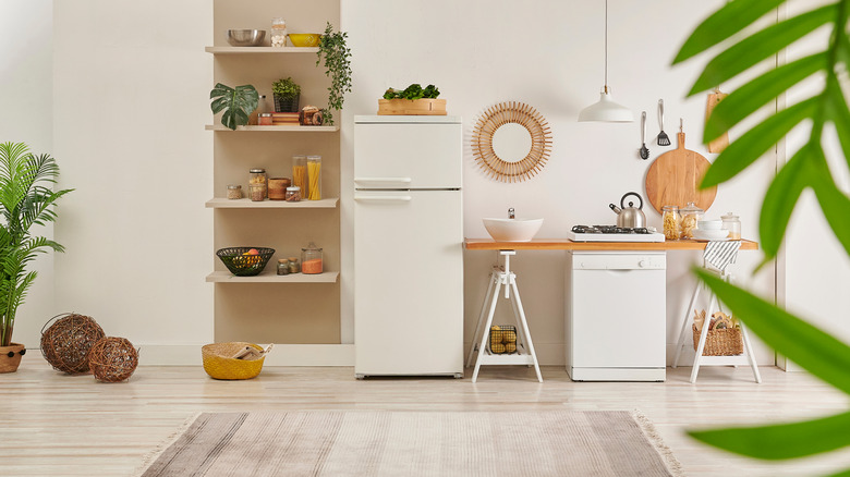 White kitchen with shelves