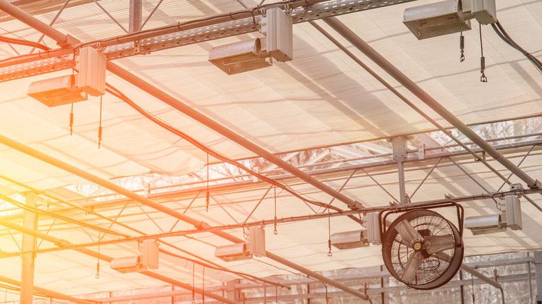 Heating system in greenhouse