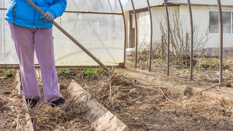 Cleaning old greenhouse