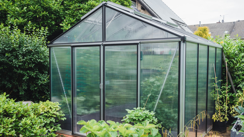 Insulated greenhouse