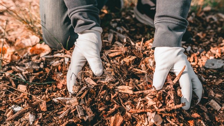 Person putting mulch in garden