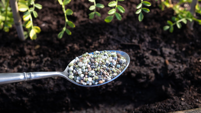 Person adding fertilizer to garden