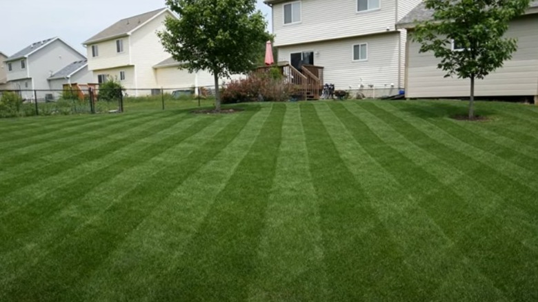 Diagonal lawn striping