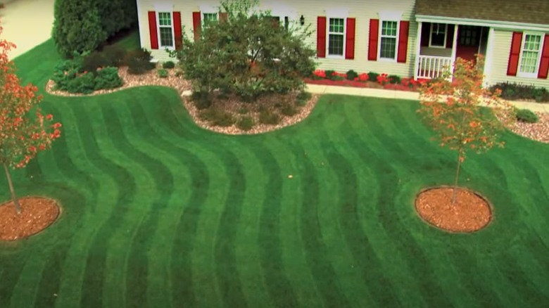 Wave lawn striping