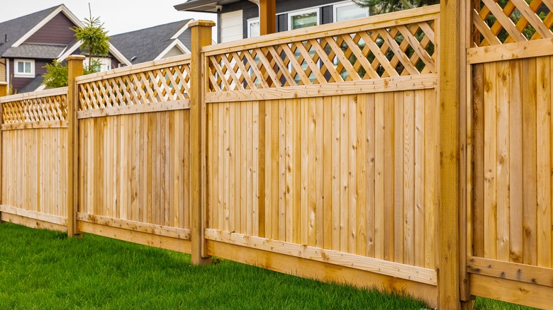 wooden fence in yard