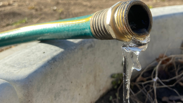 Frozen garden hose