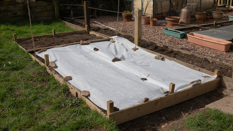 fleece covering garden bed