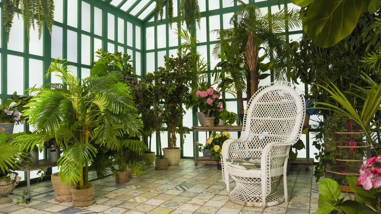 Sunroom with plants