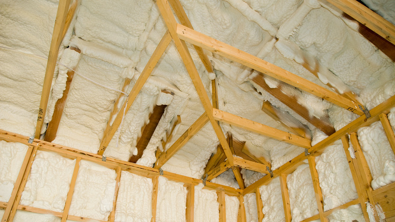 foam insulation