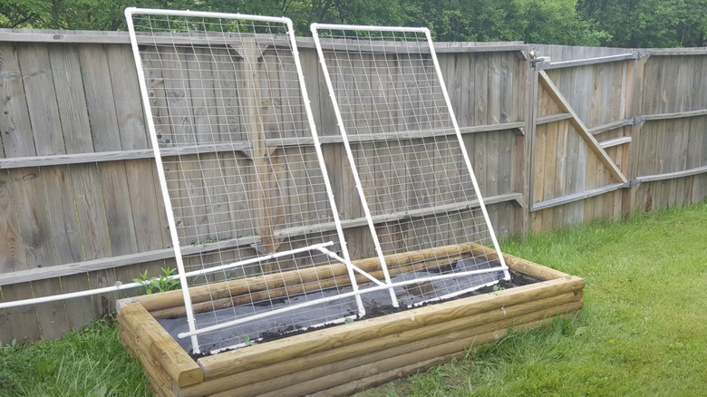 Two vegetable garden bed trellises made from PVC pipes and fencing mesh.