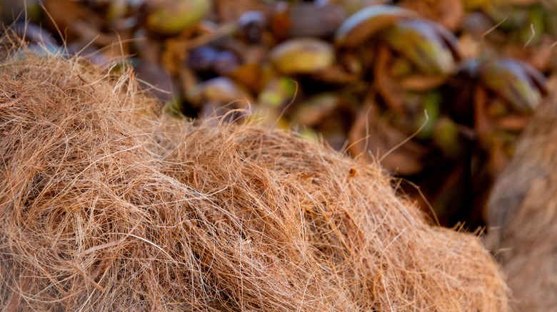 Coconut fiber in pile