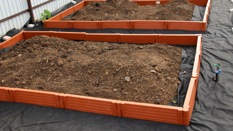 Garden beds with black landscape fabric liners