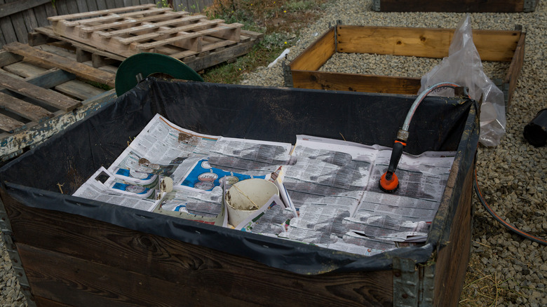 Planter lined with newspaper