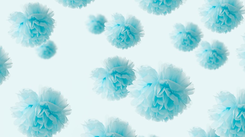 blue pom poms