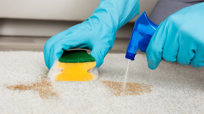 person cleaning carpet