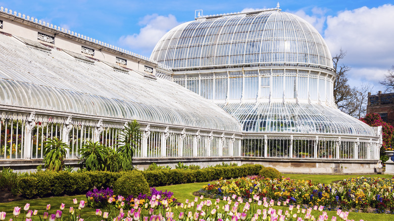 Plan conservatory in Belfast