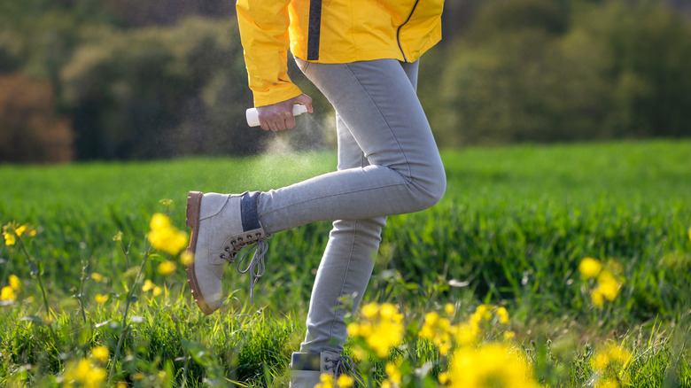 spraying insecticide on leg