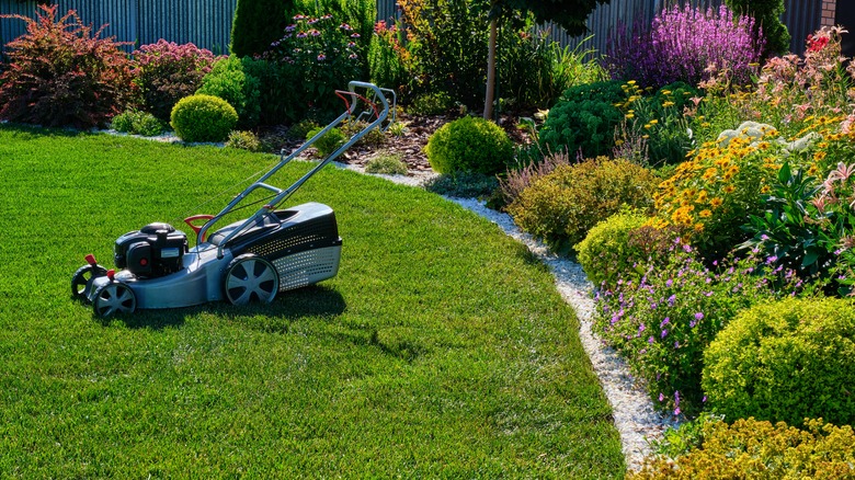 lawnmower in lawn with shrubs