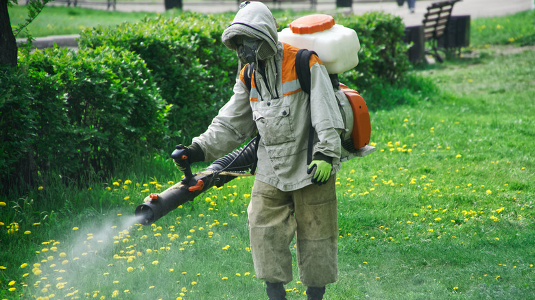 worker spraying yard with insecticide