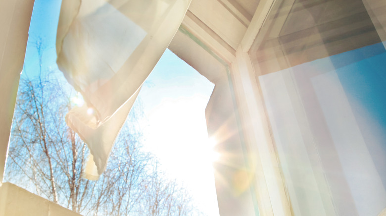 Sunlight shining through window