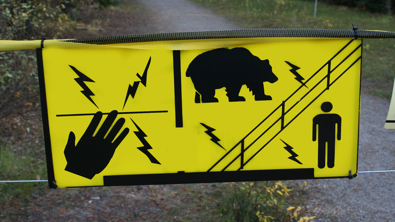 electric fence for bears