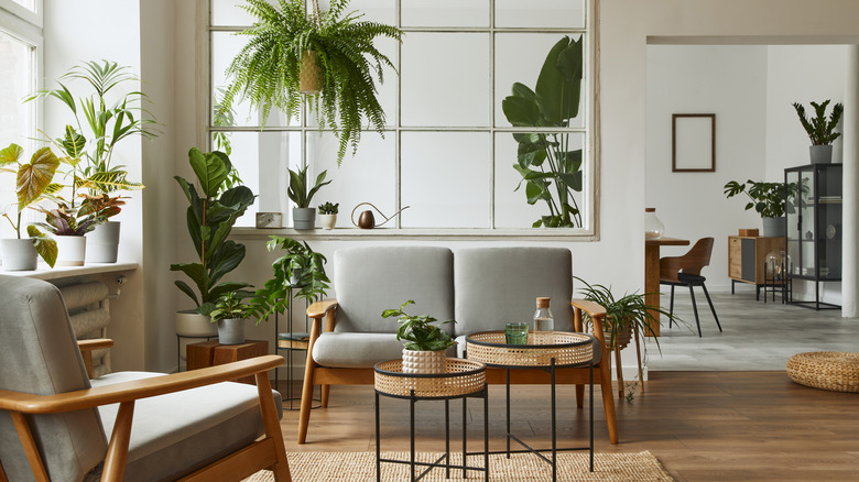 living room with plants