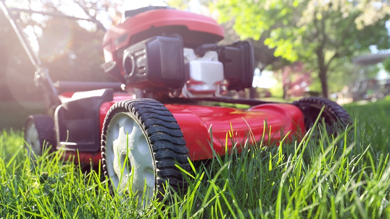 Lawn mower cutting grass