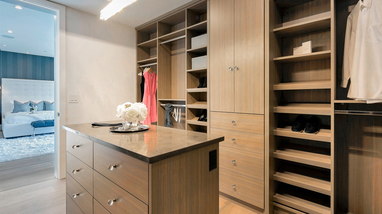 walk-in closet with island