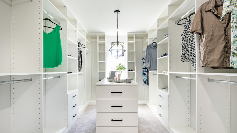 closet with modern light fixture