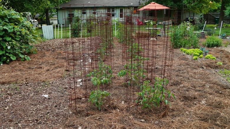 concrete remesh cages